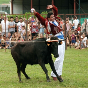 Course landaise mixte et jeux d’arènes pour les amateurs avec la « Ganaderia Dussau » - Entrée gratuite